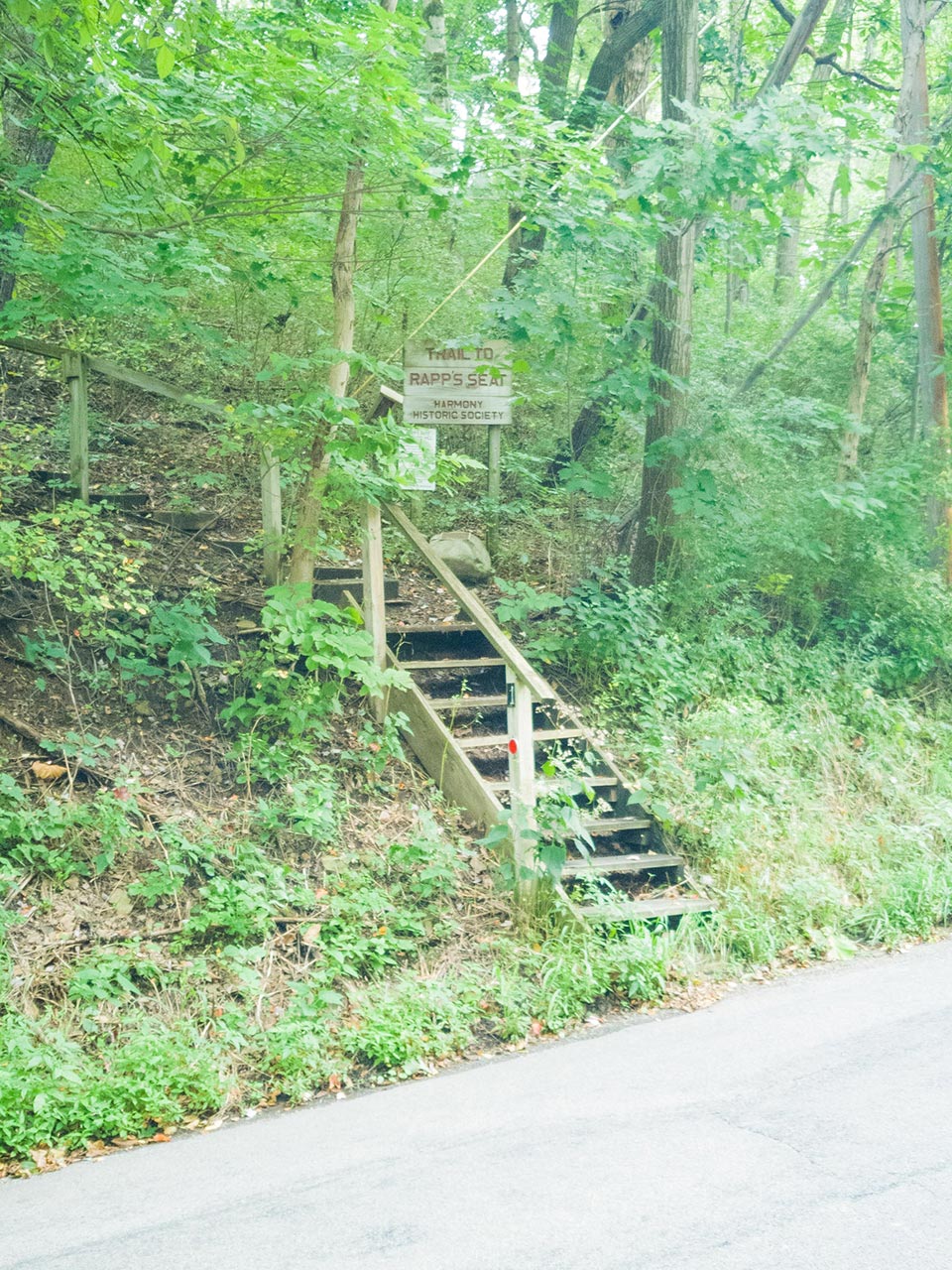 Rapp's Seat stairs