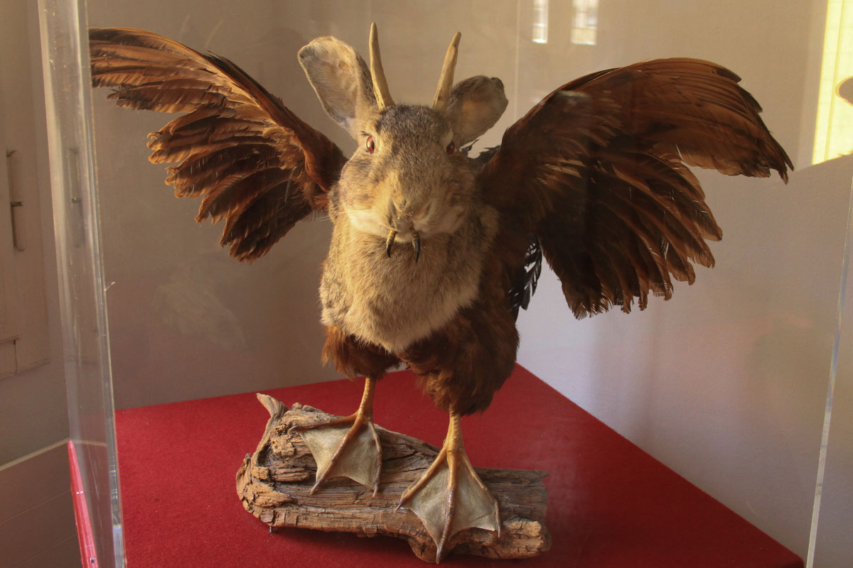 wolpertinger