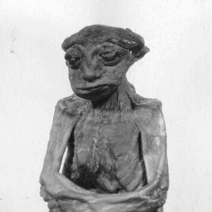 a photo of Pedro, Wyoming's own midget mummy